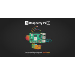 Raspberry Pi 5 — 4 GB