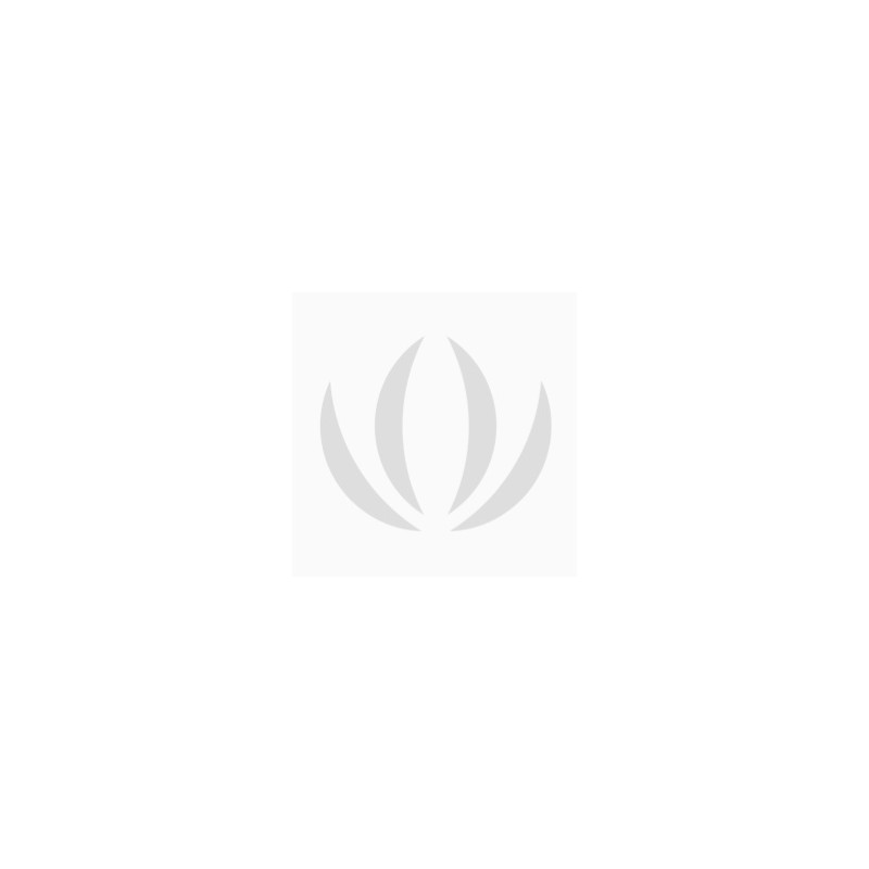 Seeed SenseCAP S2103