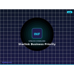 Starlink Business Priority