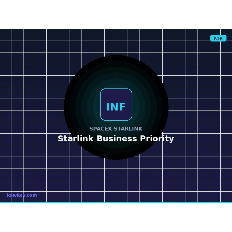 Starlink Business Priority