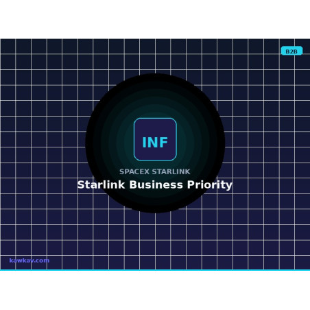Starlink Business Priority