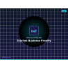 Starlink Business Priority