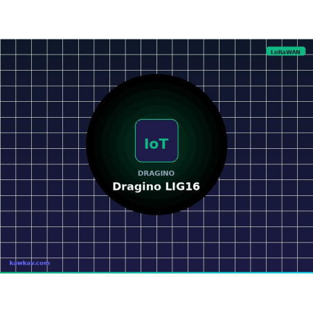 Dragino LIG16