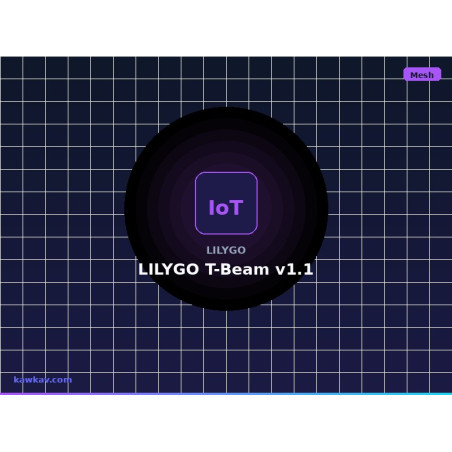 LILYGO T-Beam v1.1