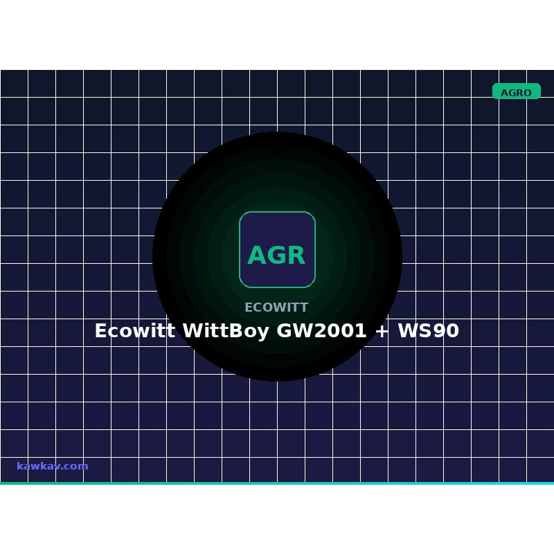 Ecowitt WittBoy GW2001 + WS90