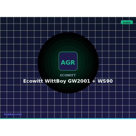 Ecowitt WittBoy GW2001 + WS90